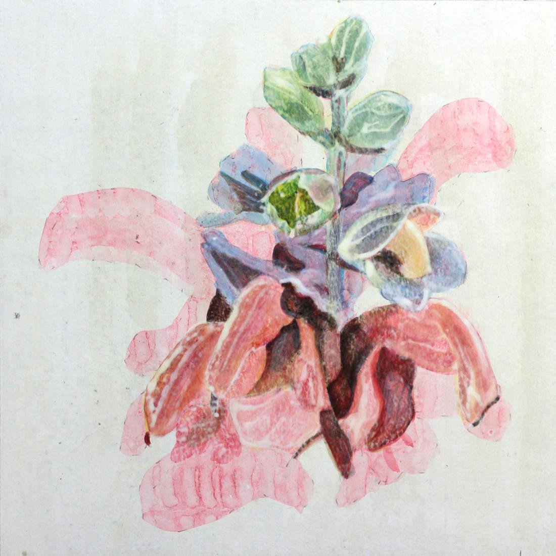 Wayne Vivier - Local image 166
